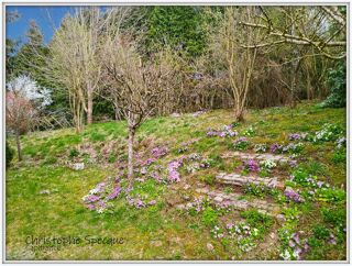  Maison � vendre 6 pi�ces 143 m�