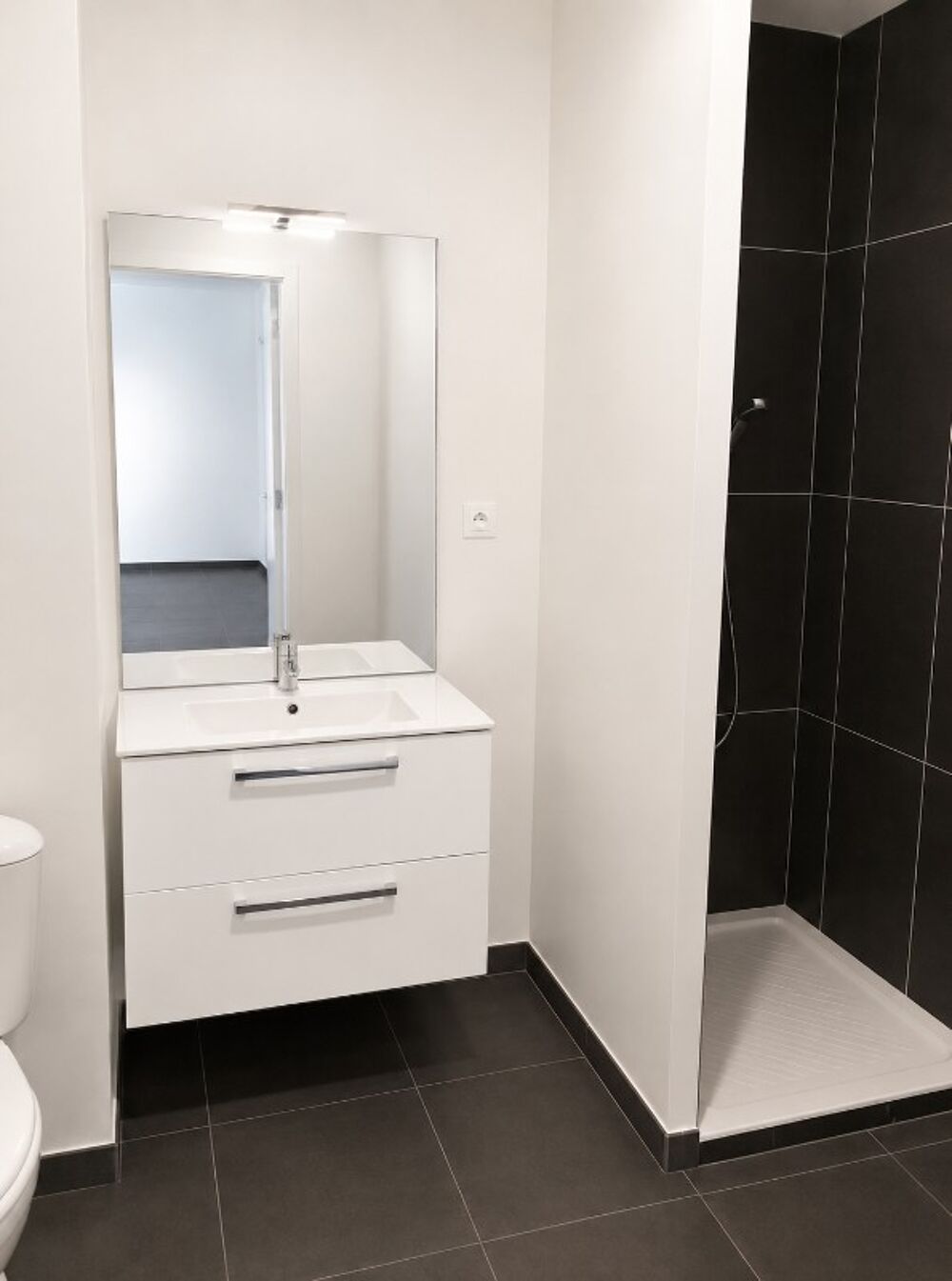 Location Appartement T2 avec balcon et garage à ALBIGNY SUR SAONE Albigny sur saone