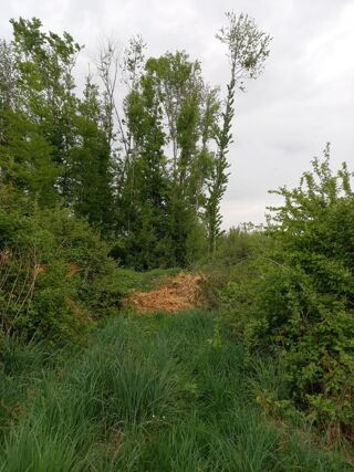  Terrain � vendre 2924 m�