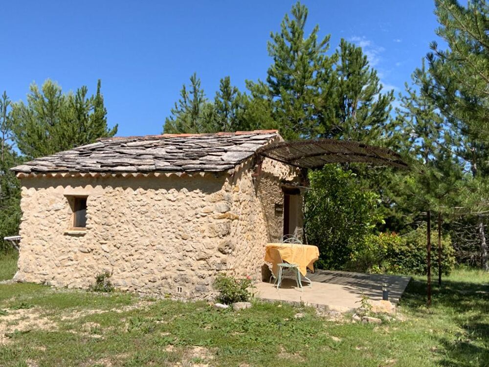 à vendre  Propriété/château Forcalquier (04300)