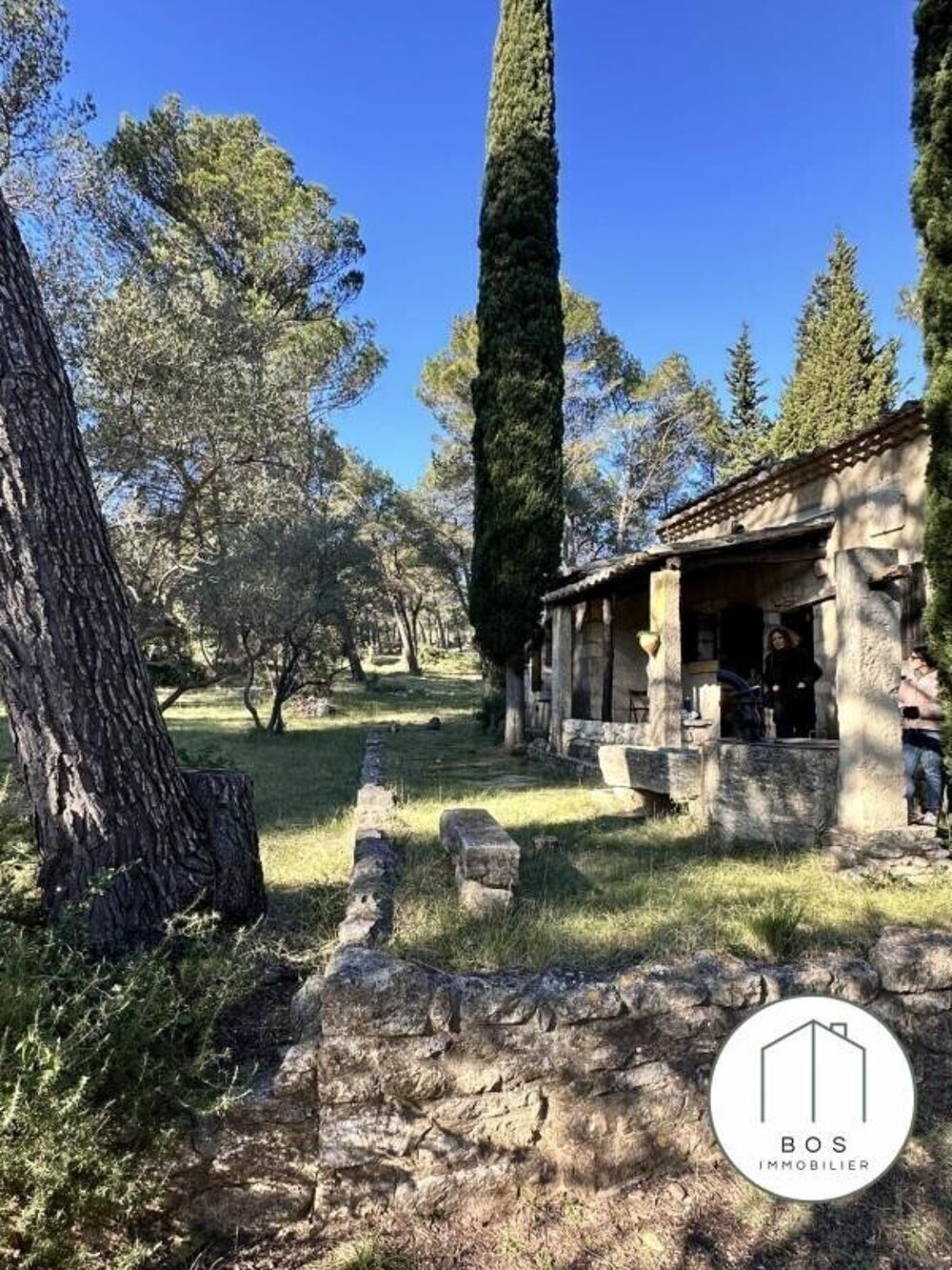 Votre Mazet au coeur des Alpilles