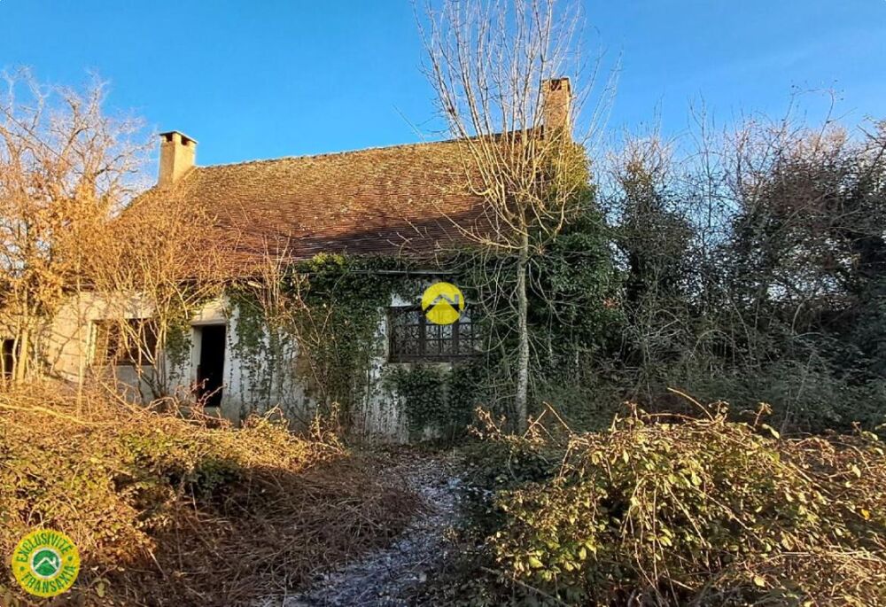 Maison avec grand jardin