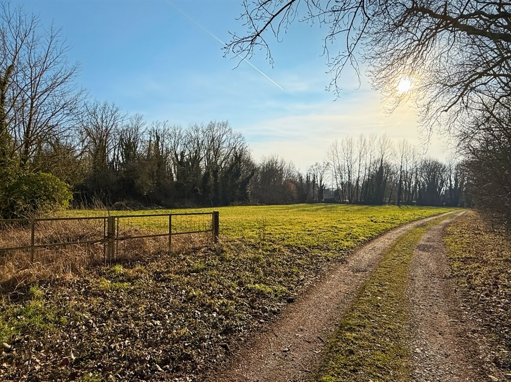 Vente Propriété/Château Demeure de Maître à 15min de Cambrai Cambrai