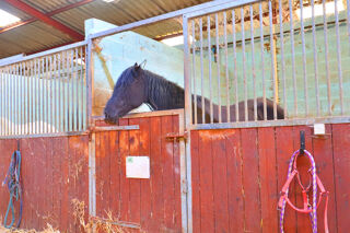  Propri�t�/ch�teau � vendre 4 pi�ces 173 m�