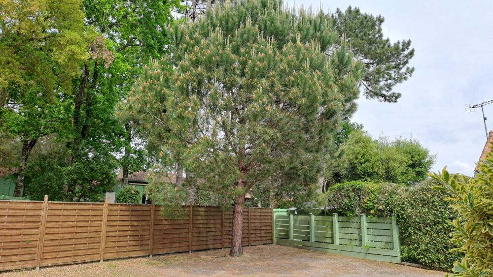 � vendre  Maison Soustons (40140)