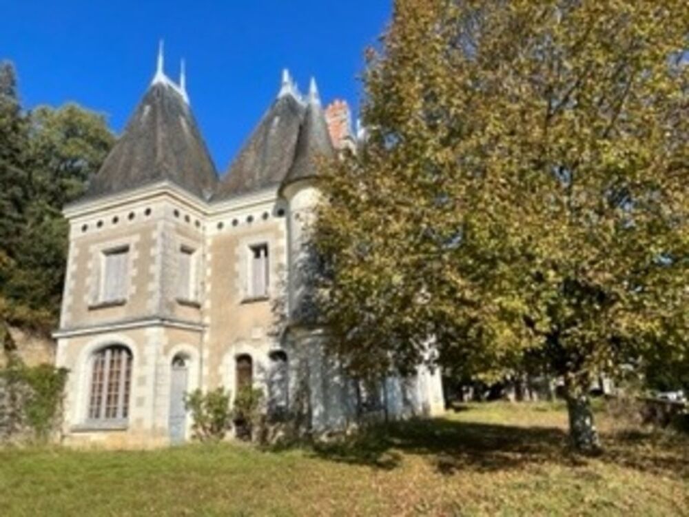 Sublime château édifié au XVI°et remanié au XIX° surblomblant la vallée de la Loire entre Amboise et Tours