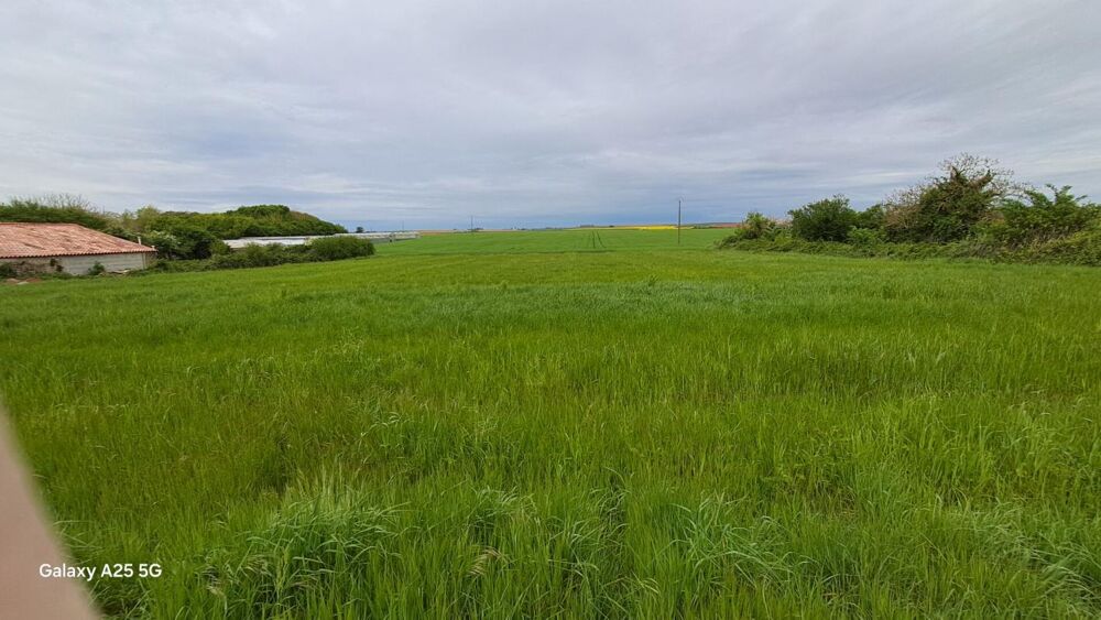 Vente Terrain TERRAIN CONSTRUCTIBLE  1621 M2 NON VIABILISE Montreuil