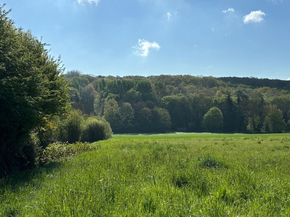 Vente Terrain Terrain à vendre de 1 127,00 m² MONTREUIL AUX LIONS (02) Montreuil aux lions