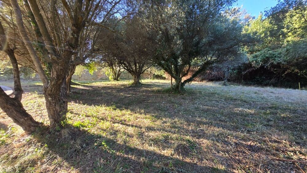 Vente Terrain Terrain à vendre - viabilisé - 401 m2 - Castries (34) Castries