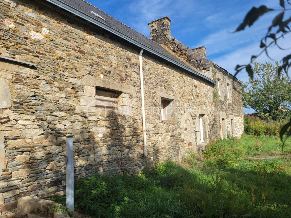 Vente Maison PLEUGRIFFET - 2 MAISONS + 2 HANGARS + 9 839 m² - PROJET RÉNOVATION Pleugriffet