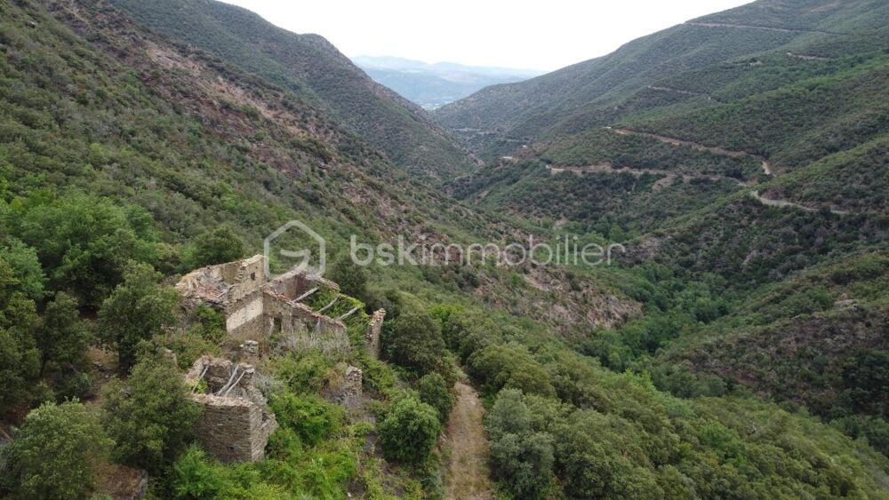 à vendre  Maison Baillestavy (66320)