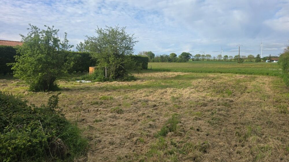 Vente Terrain Terrain pour réaliser minimum 3 MAISONS à Nachamps (17)proche SURGERES et SAINT JEAN D'ANGELY Nachamps