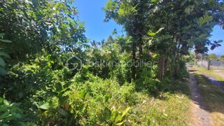 Vente Terrain Vente Terrain Constructible de 778 m² Le Baril - Saint-Philippe Saint philippe
