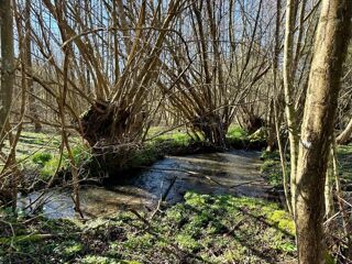  Terrain � vendre 13000 m�