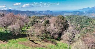  Terrain � vendre 1984 m�