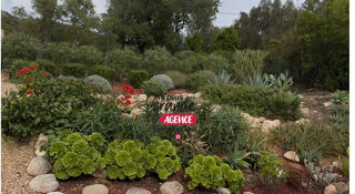  Maison � vendre 3 pi�ces 43 m�