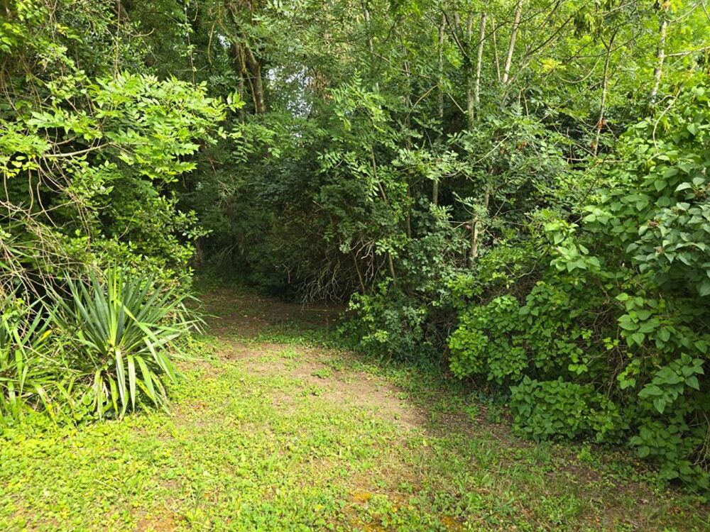 Vente Terrain Terrain zone UR1 Palaiseau de 2090m² - gros potentiel Palaiseau
