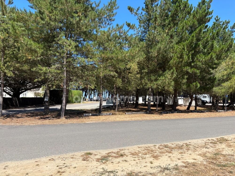 Vente Terrain Terrain d'exception à vendre Sables d or les pins