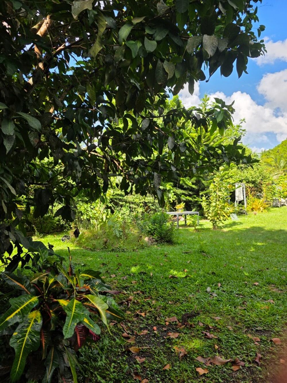 � vendre  Villa Baie-Mahault (97122)