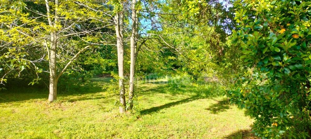 Maison de campagne à vendre 6 pièces (20) 2700m2 de terrain piscinable