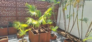  Appartement � vendre 4 pi�ces 114 m�