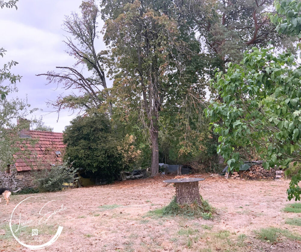 Vente Maison Maison de campagne 4 chambres avec dépendances 1 929 m²  à deux pas de la forêt Chateaumeillant