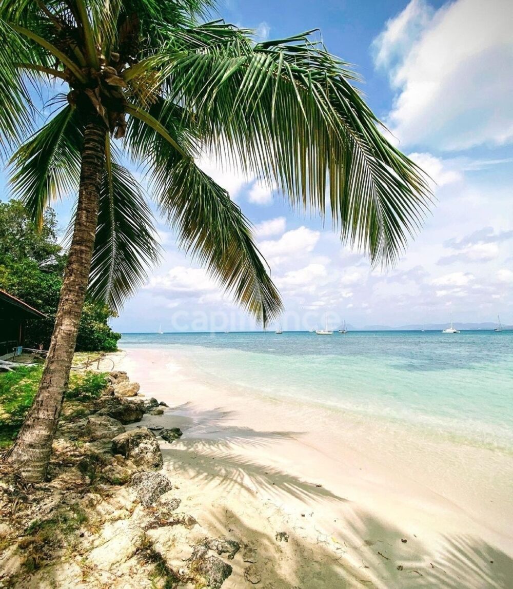 Vente Appartement A 200 METRES DES PLAGES* STUDIO MEUBLÉ EN RDC* ACCESSIBLE PMR* PARKING PRIVÉ*  STE ANNE (972) Sainte anne