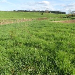  Terrain � vendre 1200 m�