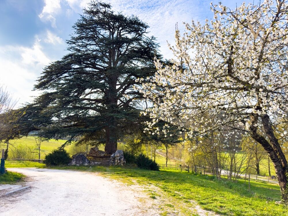 � vendre  Propri�t�/ch�teau Tournon-d'Agenais (47370)