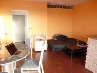  Appartement à louer 1 pièce 29 m²