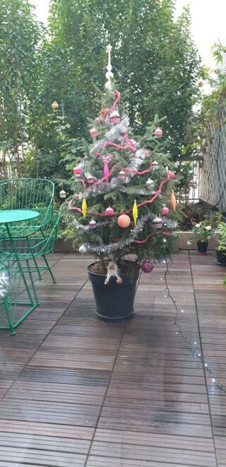  Appartement  vendre 5 pices 110 m