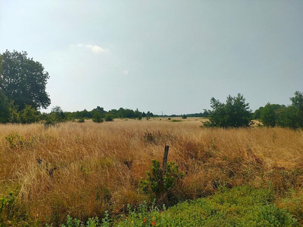 Vente Terrain TERRAIN AGRICOLE 5.60 HECTARES Sainte eulalie
