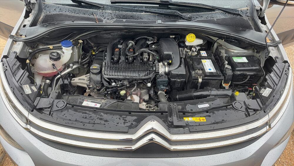 C3 1.2 PureTech 82 Shine 2019 occasion 06320 La Turbie