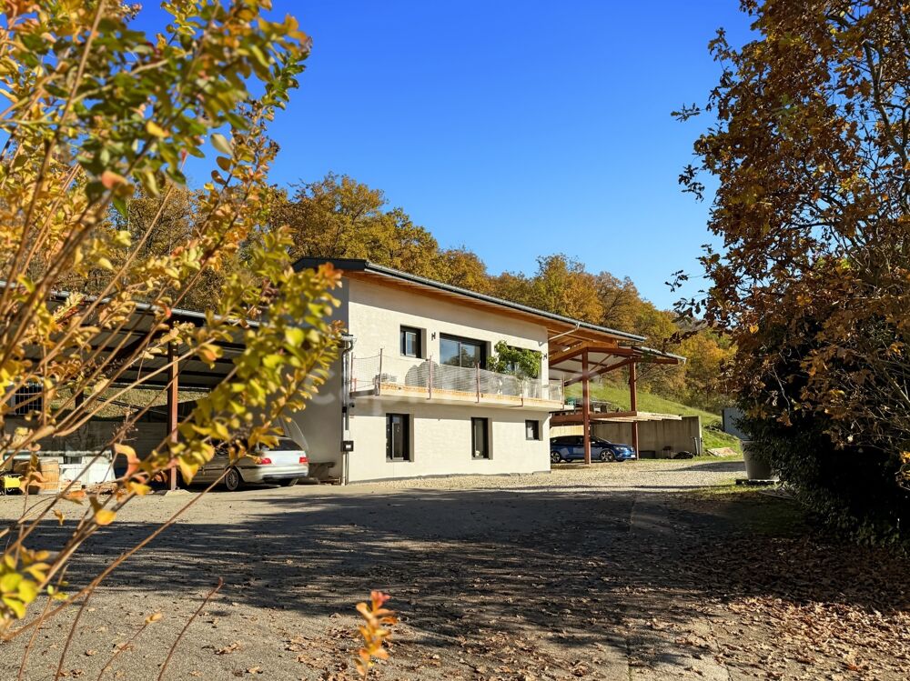 Vente Maison Maison à vendre 6 pièces CONTAMINE SUR ARVE (74) Contamine sur arve