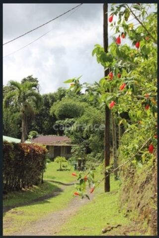  Terrain � vendre 6130 m�