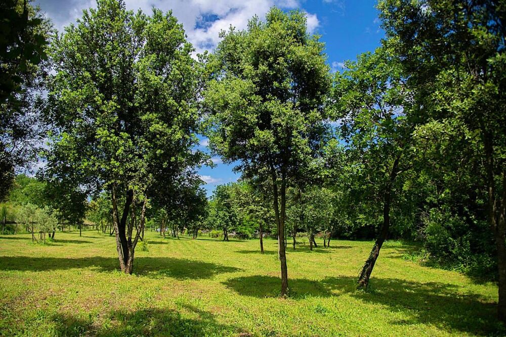 Vente Propriété/Château Un Domaine Provençal d'Exception à 30 Minutes d'Uzès Uzes