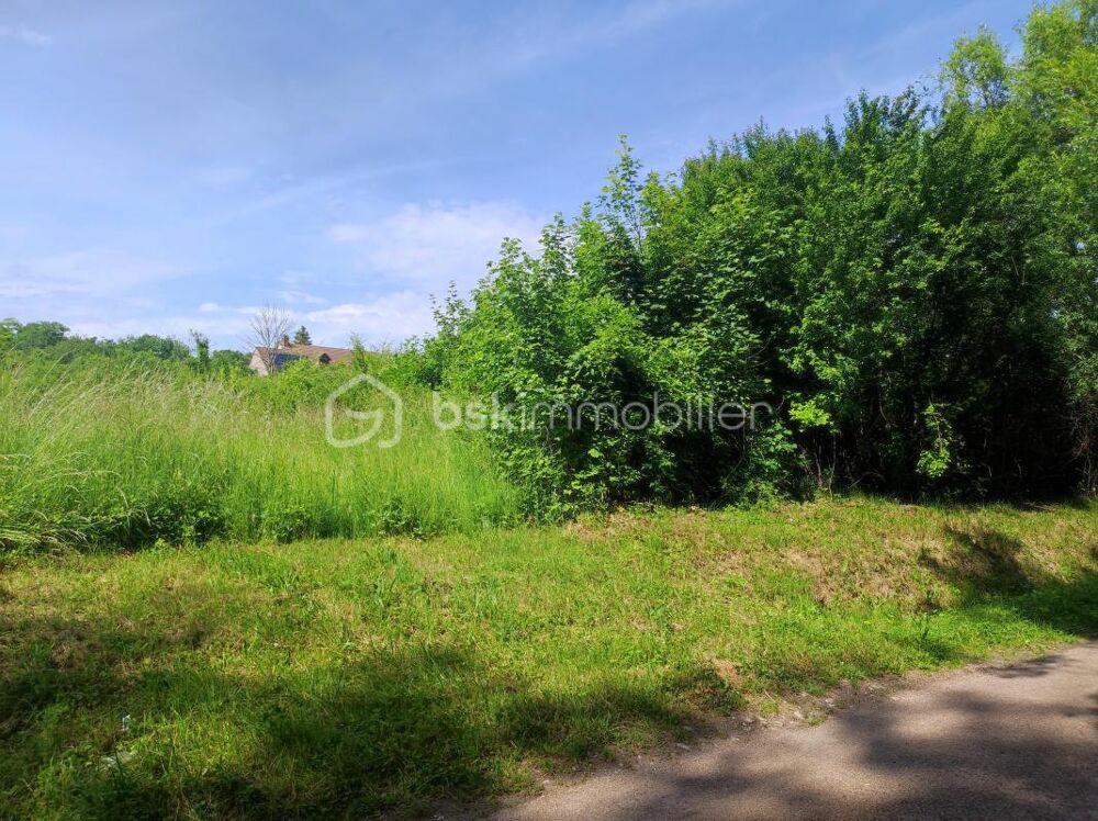 Vente Terrain ? Terrain constructible de 2 530 m² – Nature, calme et potentiel Saint florentin
