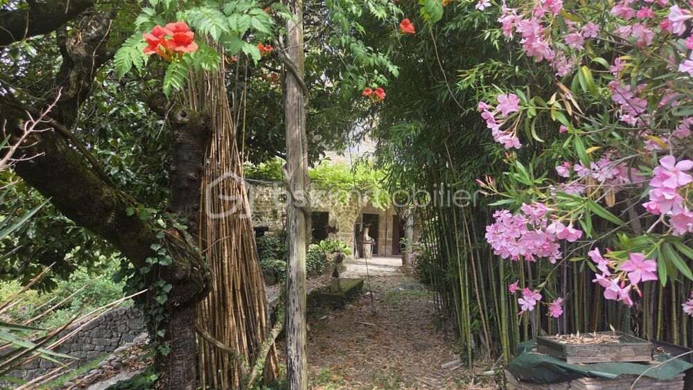 à vendre  Propriété/château Largentière (07110)