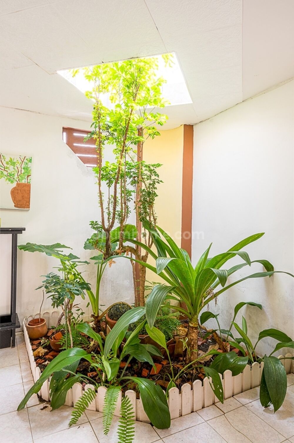 � vendre  Maison Sch�lcher (97233)