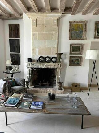  Maison � vendre 15 + pi�ces 300 m�