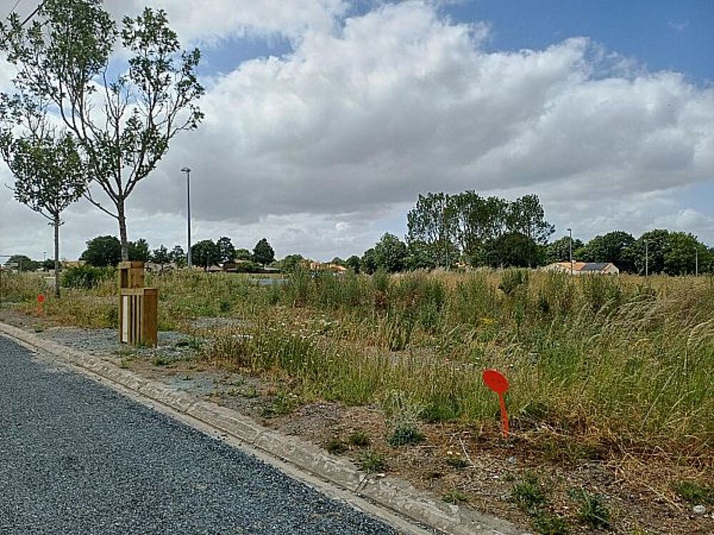 Vente Terrain Terrain(terrain) - 436m2 Mortagne sur sevre