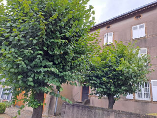  Ferme � vendre 6 pi�ces 167 m� Coume