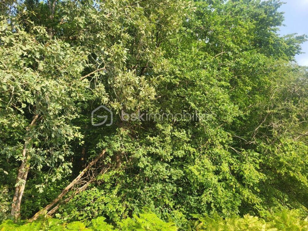 Vente Terrain Magnifique terrain boisé-Un véritable écrin de nature Queyssac