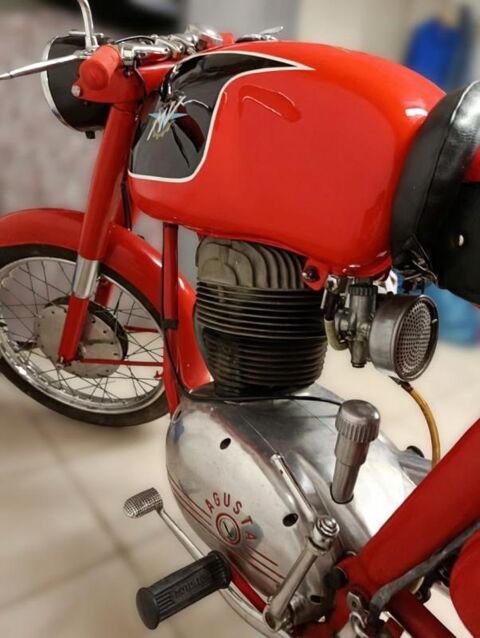 MV AGUSTA 1962 occasion 83320 Carqueiranne