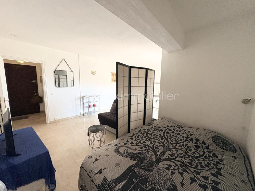 Vente Appartement Cannes Grand Studio avec Balcon et Cave Cannes