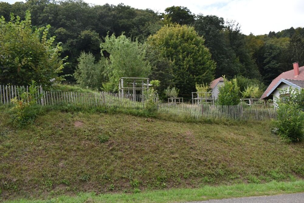 Vente Terrain Terrain d'exception dans un cadre idyllique – Thal-Marmoutier Thal marmoutier