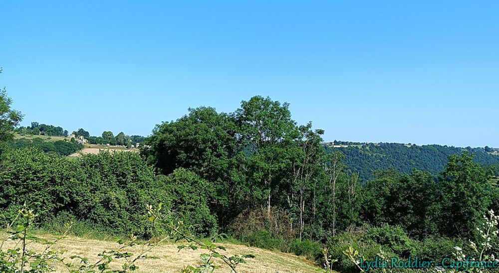 Vente Terrain Terrain 4580m2 SAUVIAT-63120 secteur très calme et naturel Sauviat