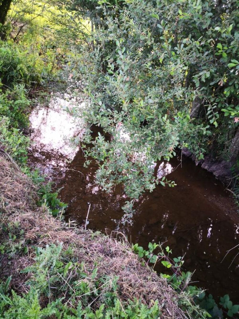 Découvrez ce joli corps de ferme isolé offrant un cadre exceptionnel et un potentiel rare, implanté sur 7,5 hectares de terrains