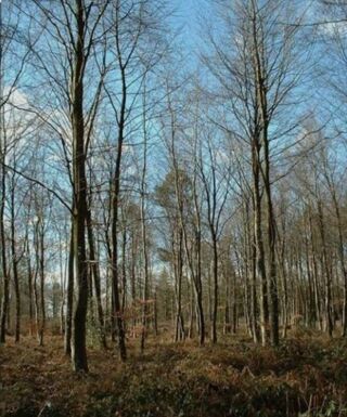  Terrain � vendre 3100 m� Echourgnac