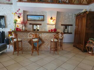  Propri�t�/ch�teau � vendre 10 pi�ces 396 m�
